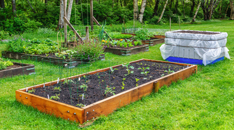 RaisedGarden